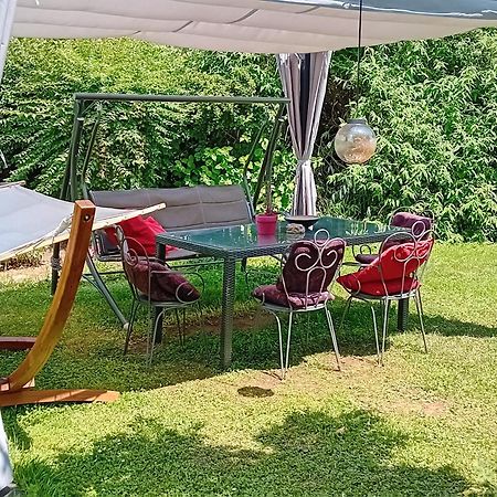 Camping Under The Walnut In Your Own Tent On A Shared Lot And Shared Bathroom Ljubljana Eksteriør bilde