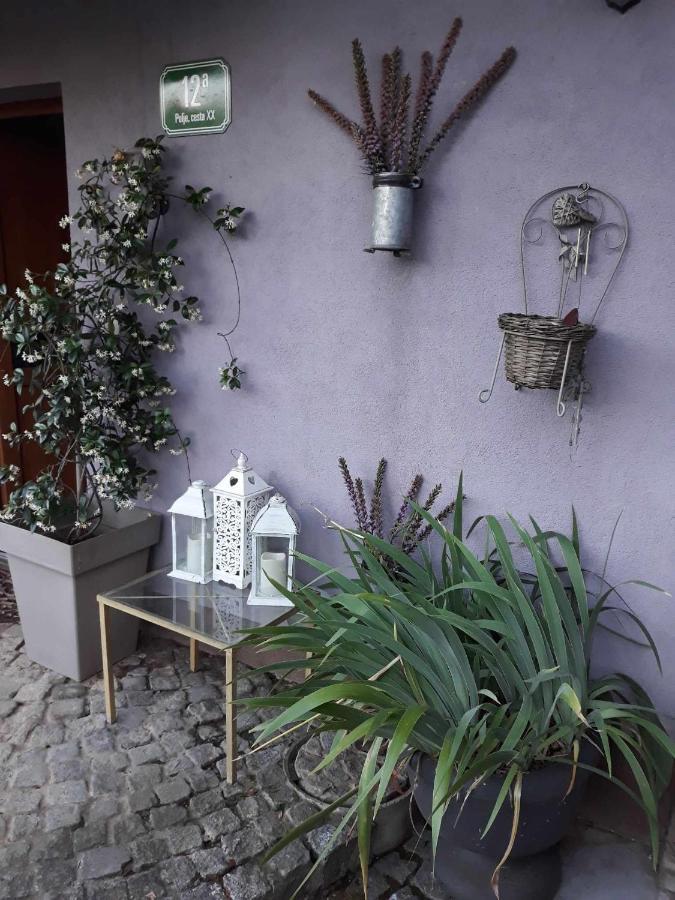 Camping Under The Walnut In Your Own Tent On A Shared Lot And Shared Bathroom Ljubljana Eksteriør bilde