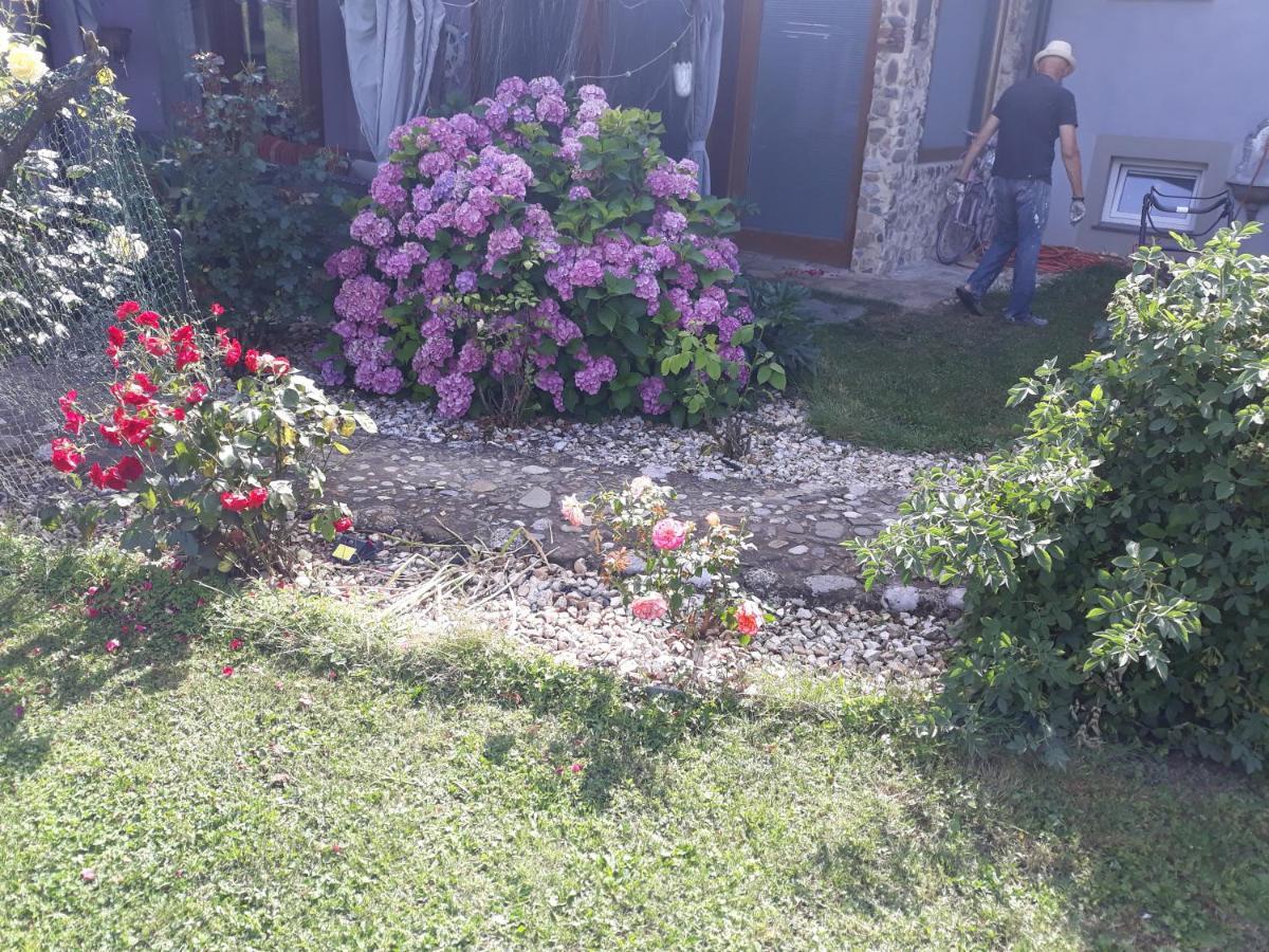 Camping Under The Walnut In Your Own Tent On A Shared Lot And Shared Bathroom Ljubljana Eksteriør bilde