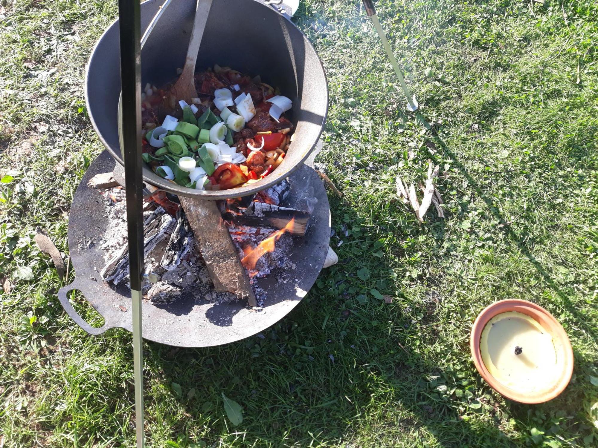 Camping Under The Walnut In Your Own Tent On A Shared Lot And Shared Bathroom Ljubljana Eksteriør bilde