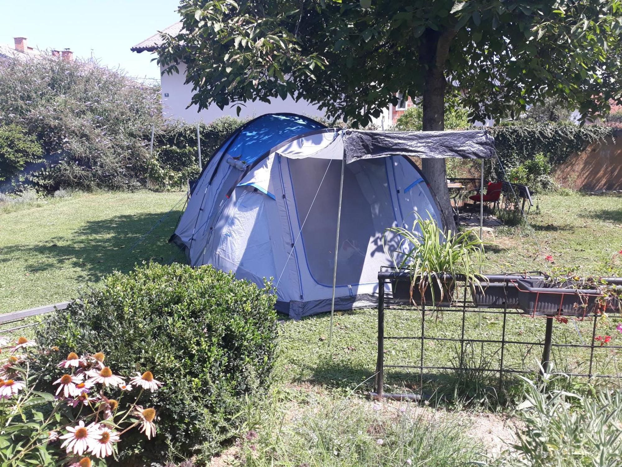 Camping Under The Walnut In Your Own Tent On A Shared Lot And Shared Bathroom Ljubljana Eksteriør bilde